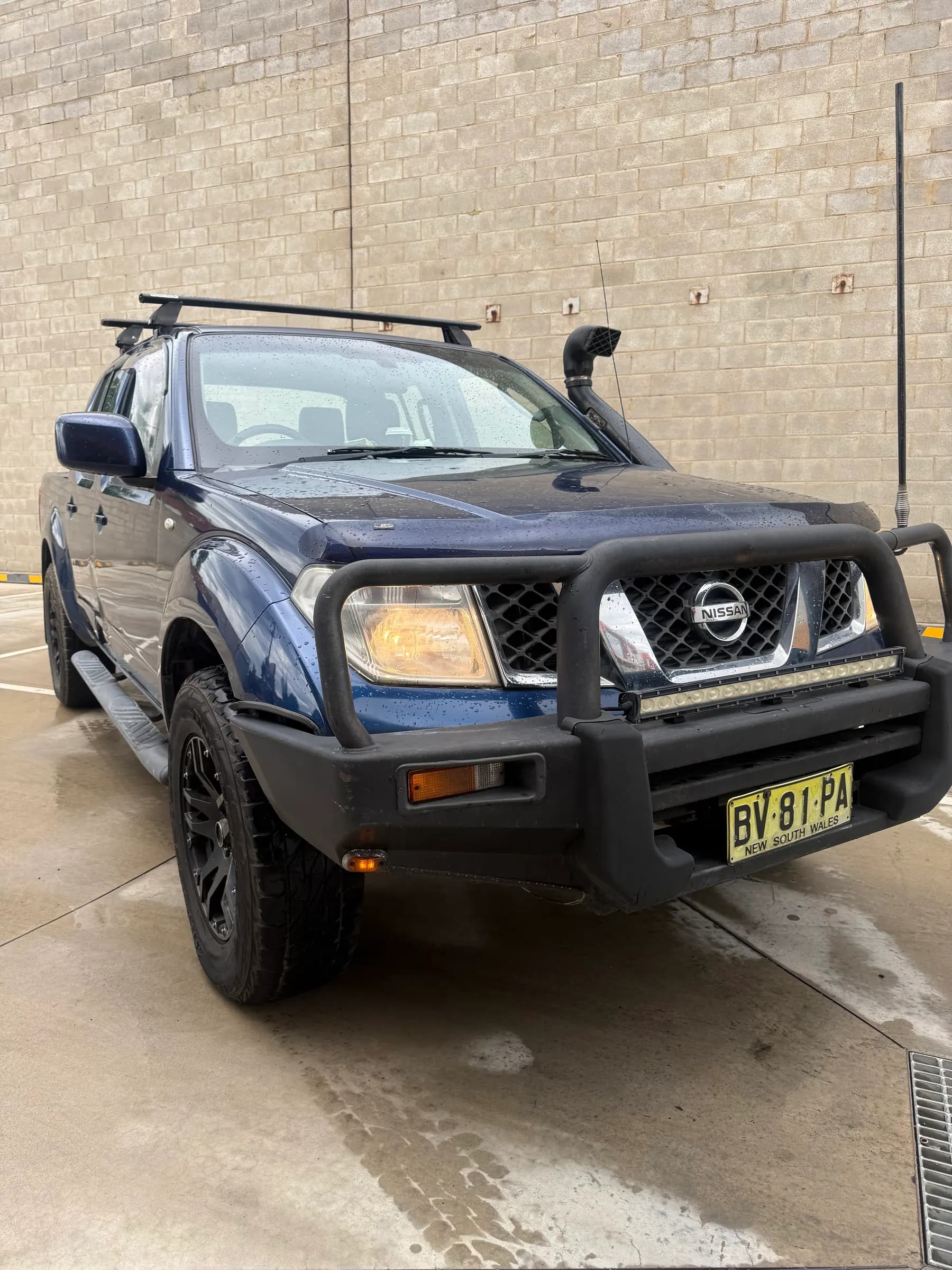 2010 Nissan Navara image 1